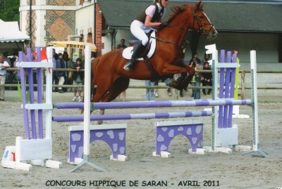 rainette-floreval f 3 400 1